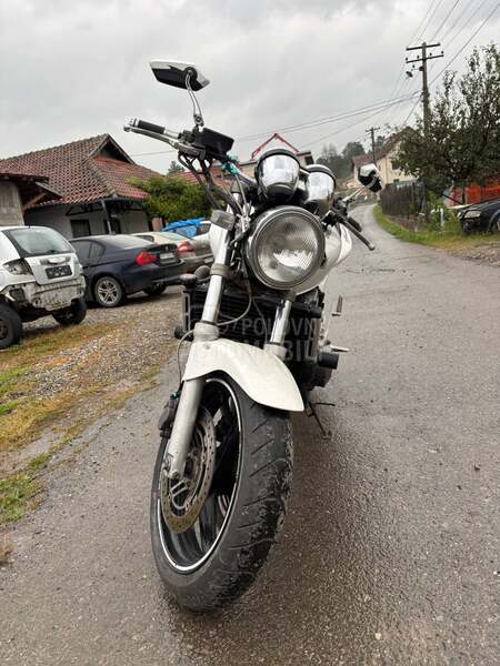 Honda Hornet