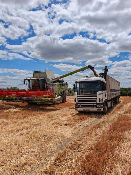 Scania 124