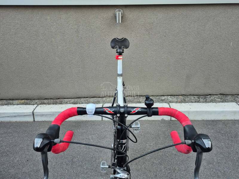 RED BULL pro 8.7kg