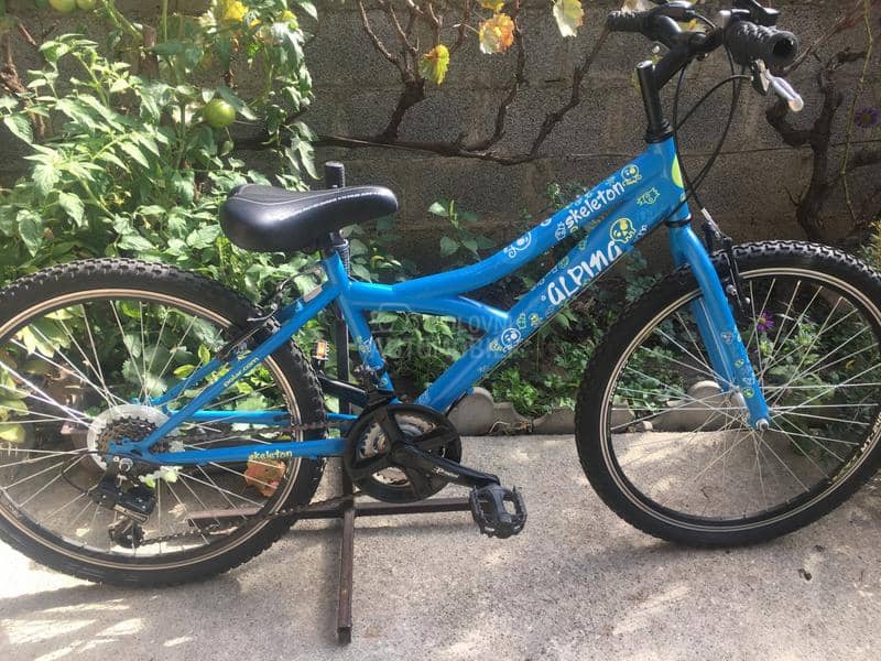 Alpina Skeleton 240 Plava