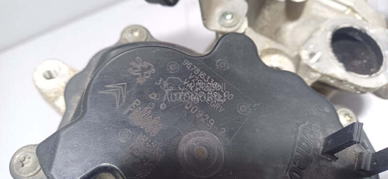 EGR