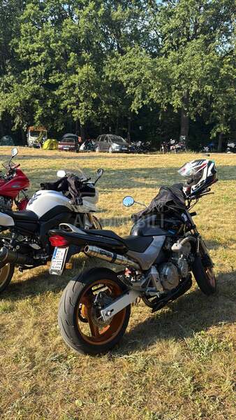 Honda Hornet