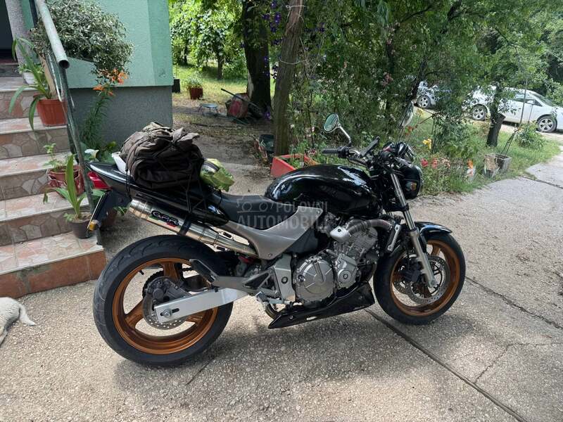 Honda Hornet