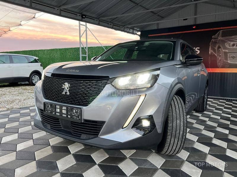 Peugeot 2008 ZAMENjEN LANAC