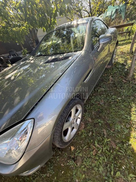 Krila SLK r172