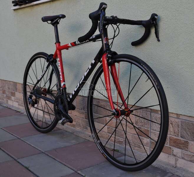 Moser Carbon  2x11