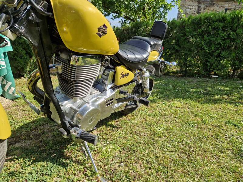 Suzuki savage