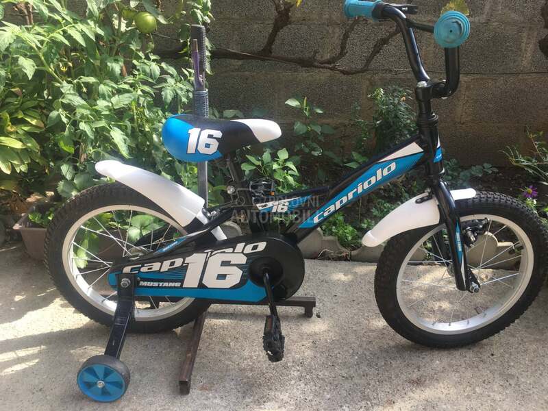 Capriolo Mustang 16 Crno Plavi