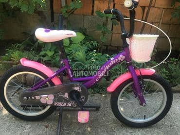 Capriolo Viola 16 Ljubicasta 5