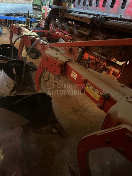 Vogel Noot ms1050