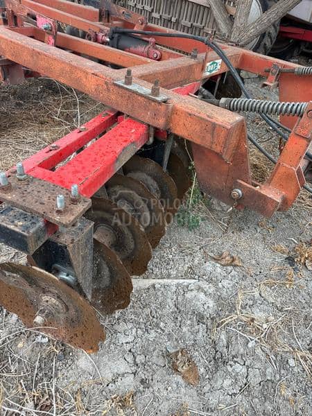 Adut vucna tanjiraca