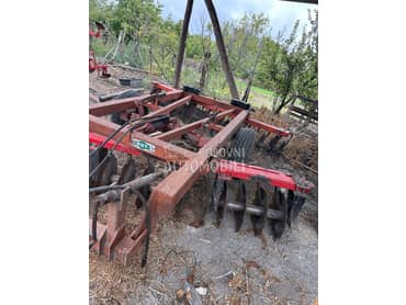 Adut vucna tanjiraca