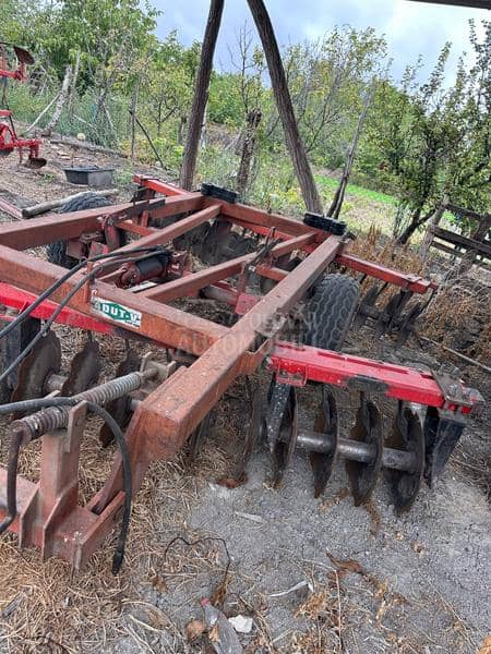 Adut vucna tanjiraca