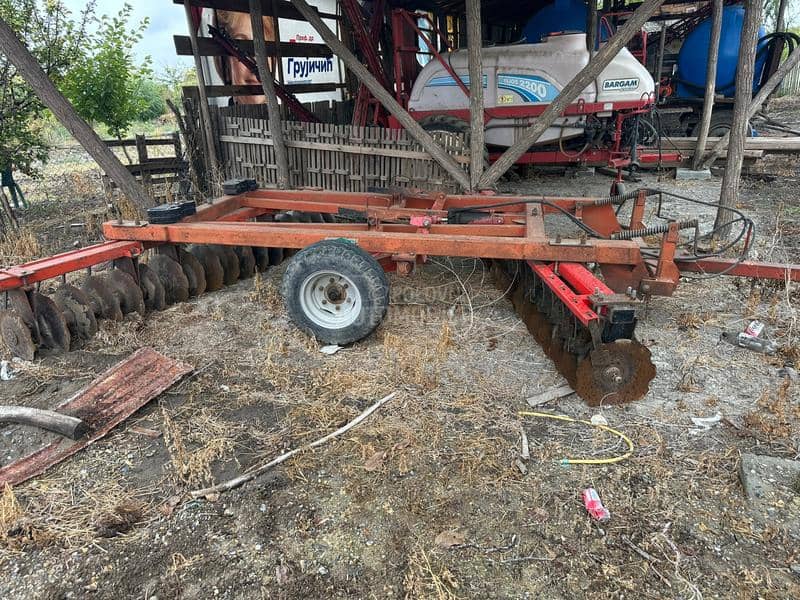 Adut vucna tanjiraca