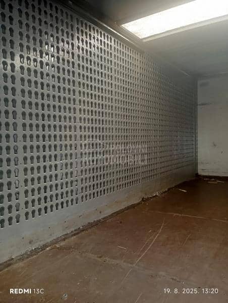 Ackermann Sasija BDF