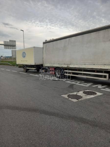 Ackermann Sasija BDF