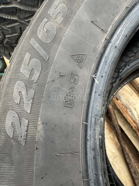Riken 225/65 R17 Zimska