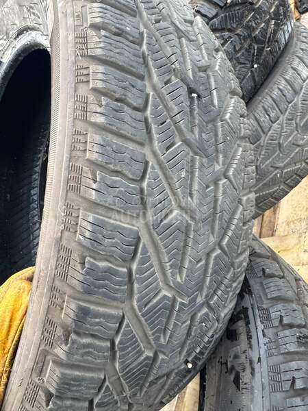 Riken 225/65 R17 Zimska