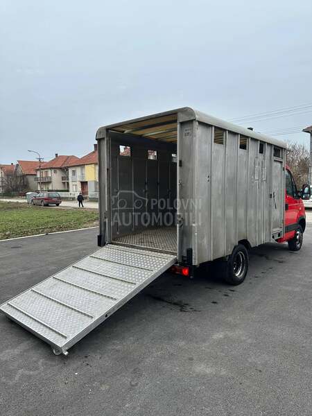 Iveco stočar
