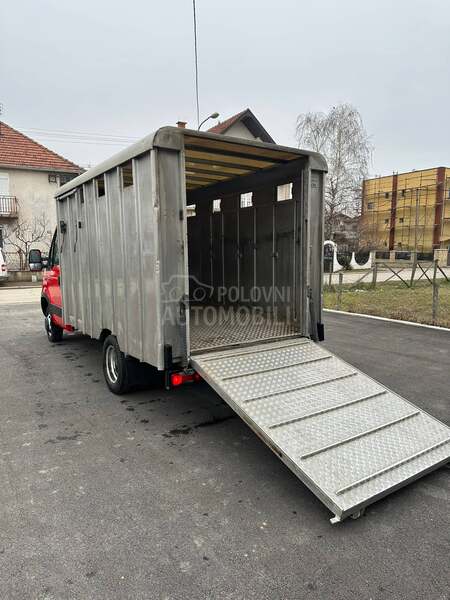 Iveco stočar