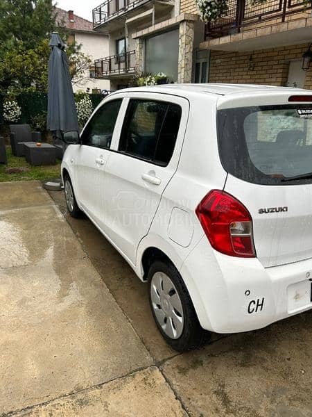 Suzuki Celerio amatic
