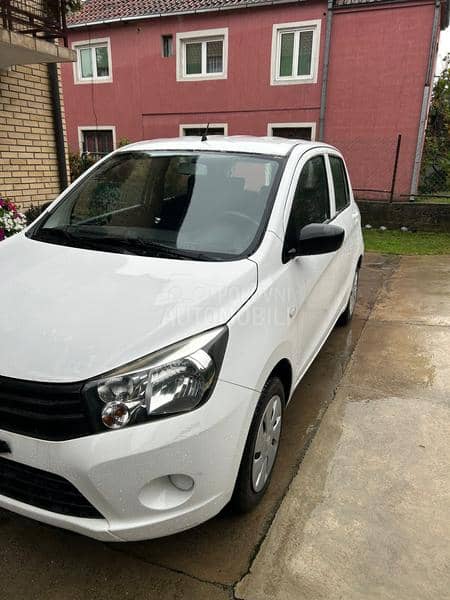 Suzuki Celerio amatic