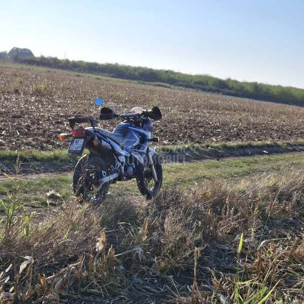 Yamaha TDR