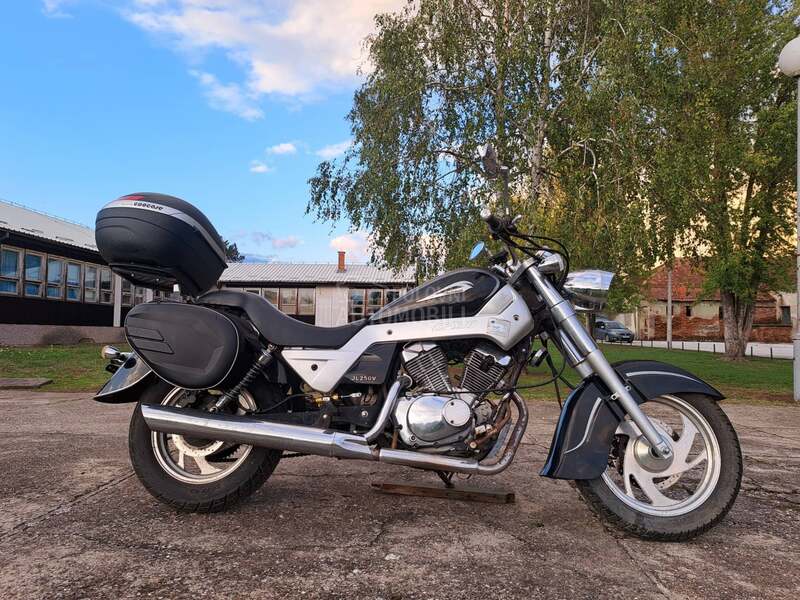Sprint Challenger 250