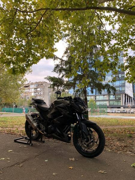 Kawasaki Z300 ABS Z 300