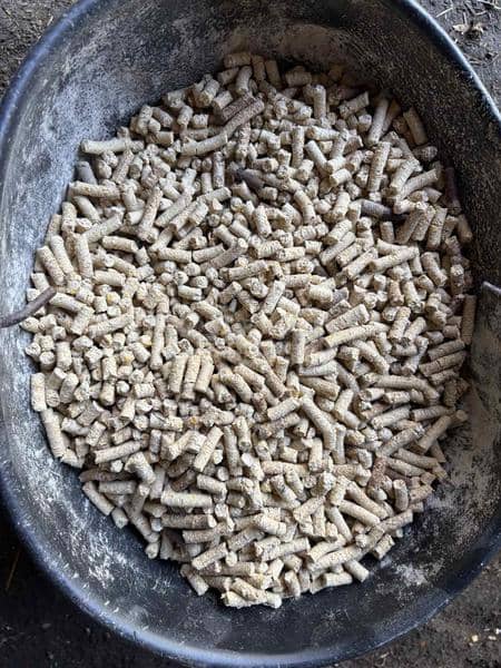 Antonio Carraro linija za  pelet