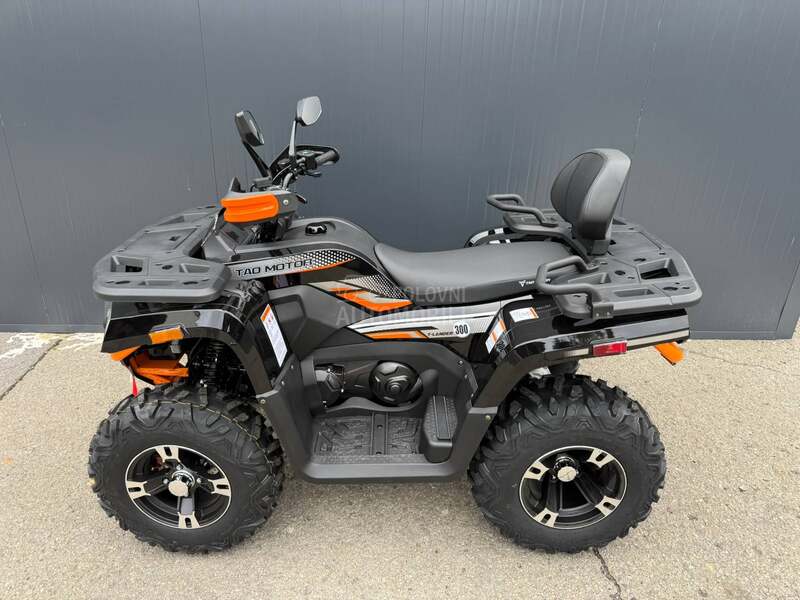 Tao Motor T LANDER 300