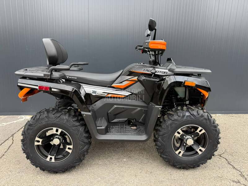 Tao Motor T LANDER 300