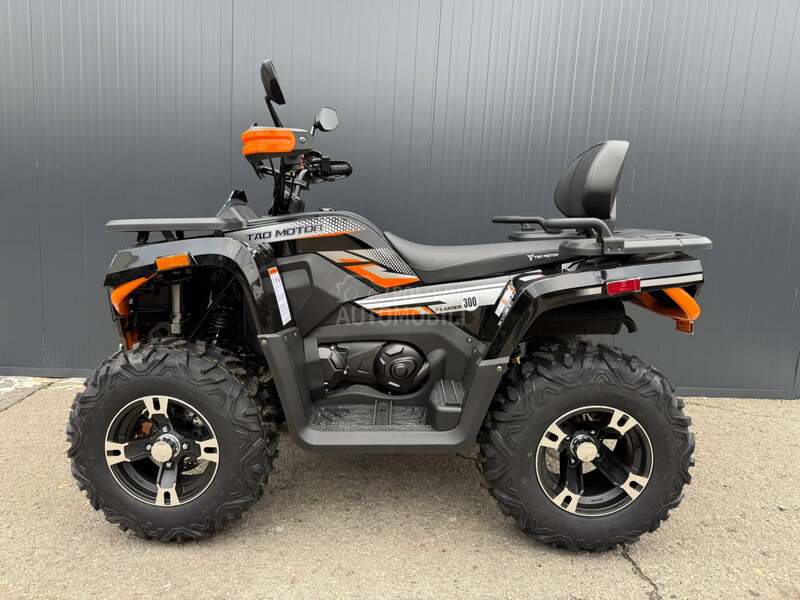 Tao Motor T LANDER 300