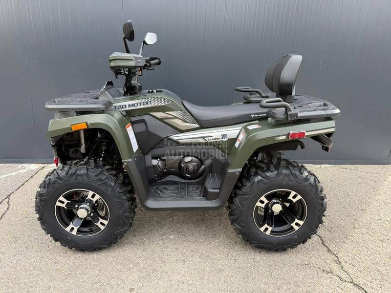 Tao Motor T LANDER 300