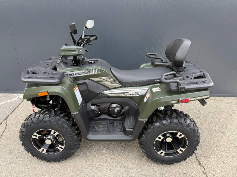 Tao Motor T LANDER 300