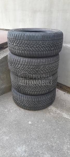 Goodyear 225/50 R17 Sve sezone