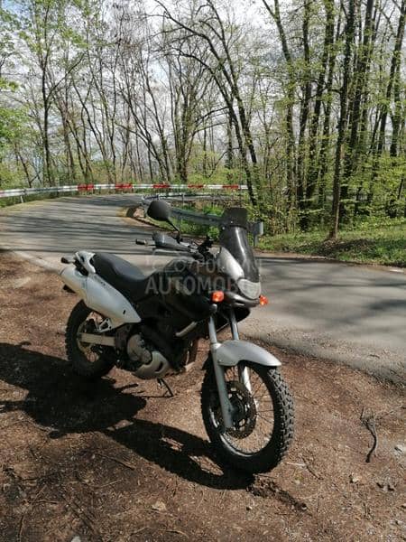 Suzuki DR 650 freewind