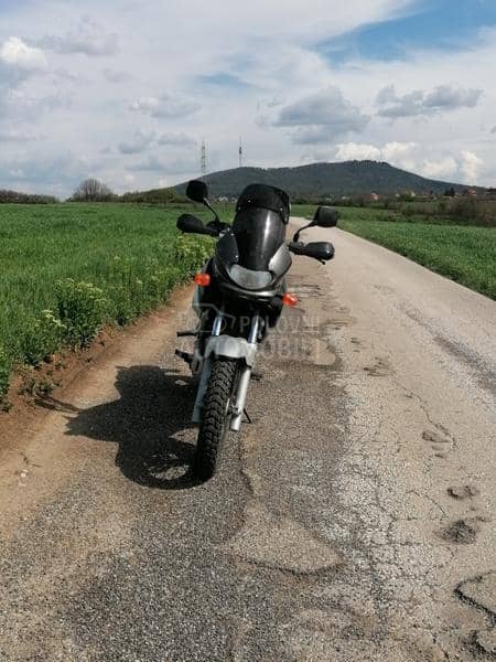 Suzuki DR 650 freewind