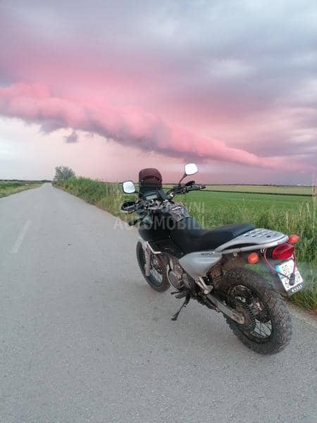 Suzuki DR 650 freewind