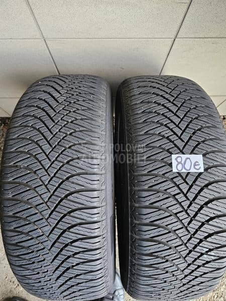 Goodride 205/55 R16 Sve sezone