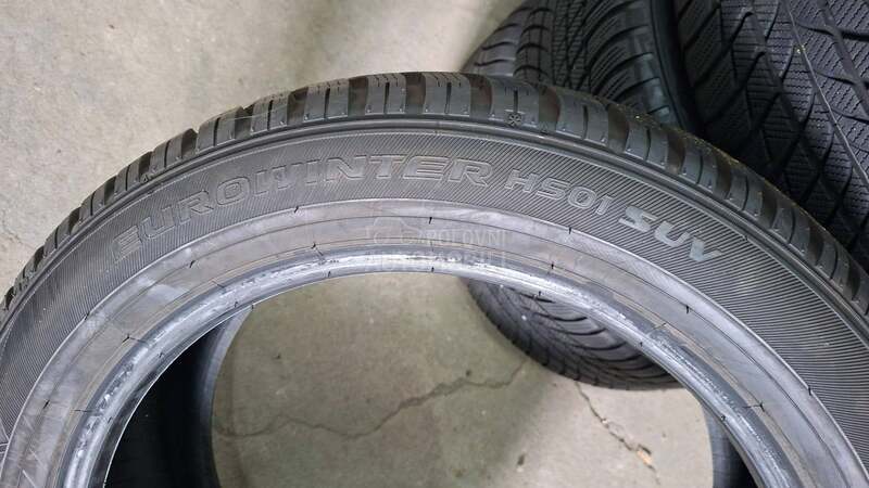 Falken 225/55 R19 Zimska
