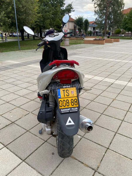 Sprint Sport max