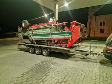 Adut Agria mengele 30 komada