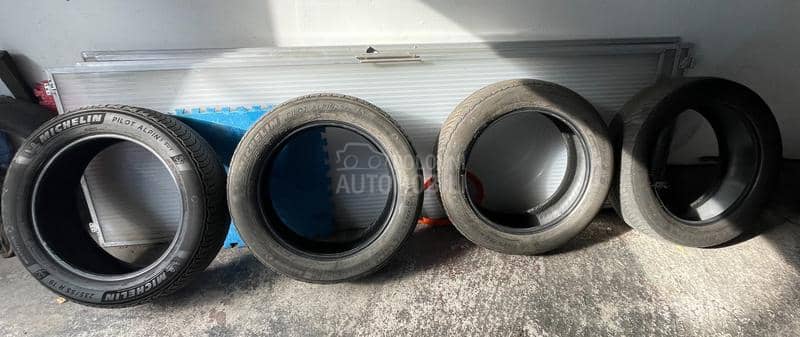 Michelin 235/55 R19 Zimska