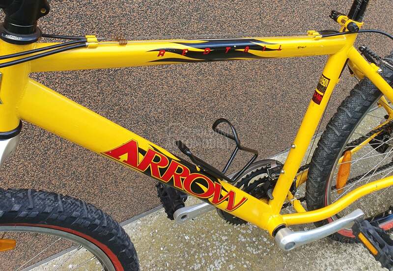 ARROW REDTAIL