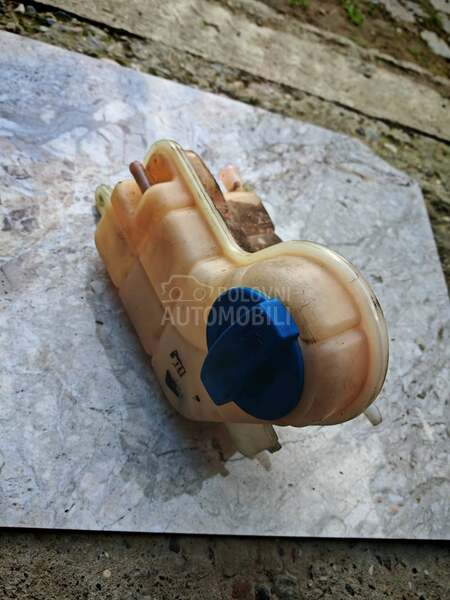 boca antifriza