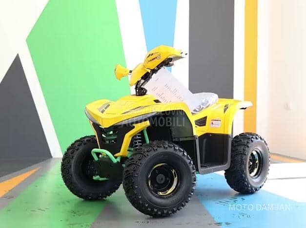 Tao Motor 1600 ATV electro