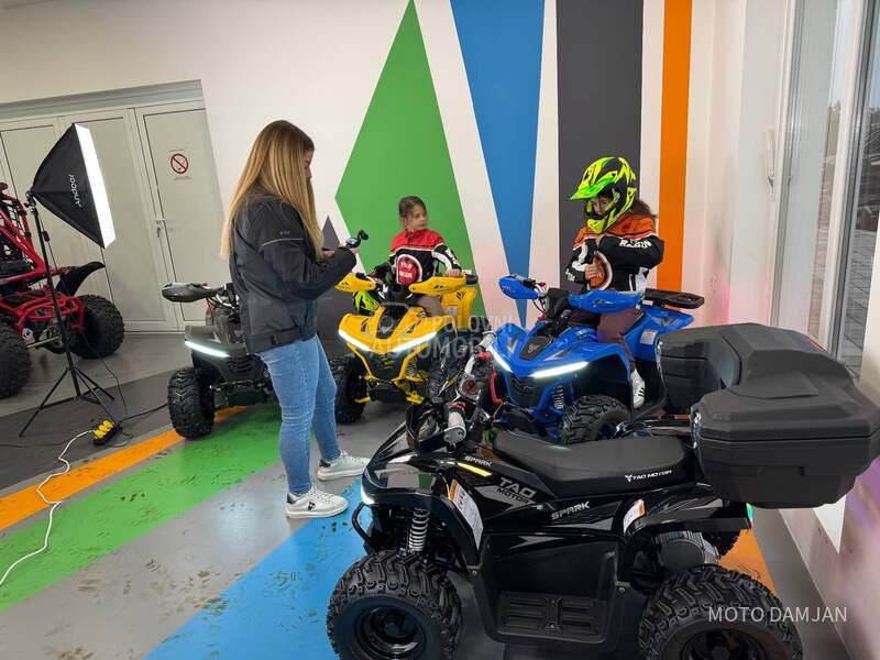 Tao Motor 1600 ATV electro