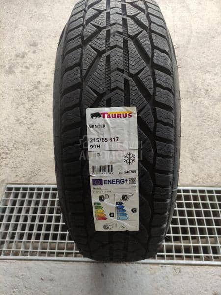 Taurus 215/65 R17 Zimska