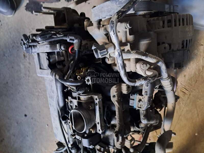 Motori